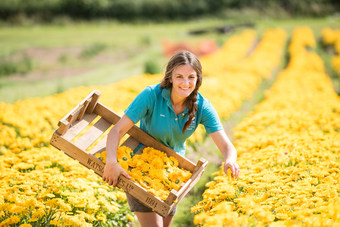 Here's Katie picking our petals