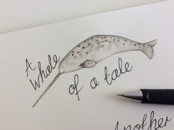 narwhal whale illustration in watercolour in my sketchbook