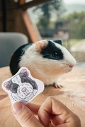 a black and white guinea pig standing next to thier own pet portrait stickers