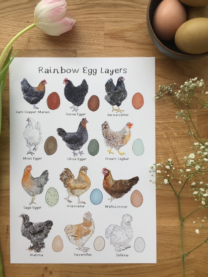 Rainbow Egg Layers Art Print