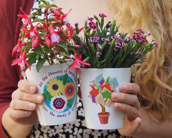 teacher plant pot gifts