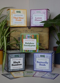 All the kits available at Sow Seedy!