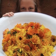a woman peeks out from behind an enamal bowl full of orange and yellow calendula flowers