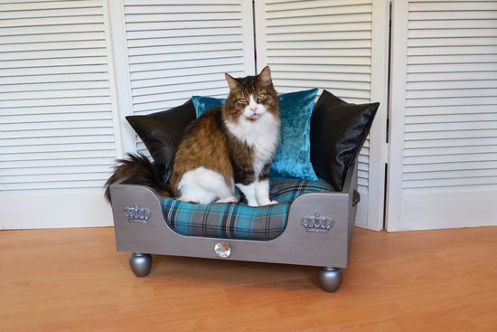 Cosy Chic Pet Boutique Cat Bed The Elton Turquoise Grey Tartan