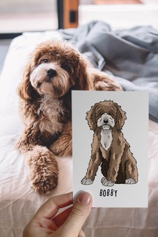 a brown cockapoo posing on a bed next to their pet portrait print