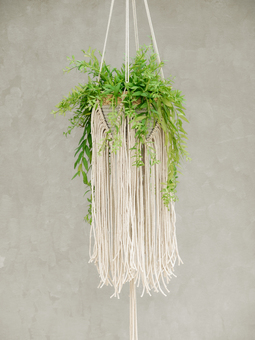 macrame fringed hanging plant basket