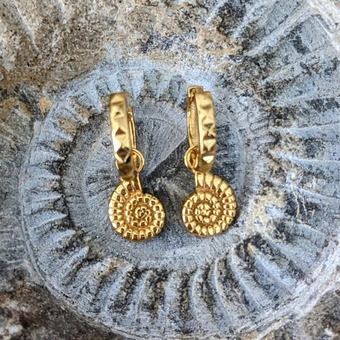 The Ammonite Accent Pyramid Hoop Earrings