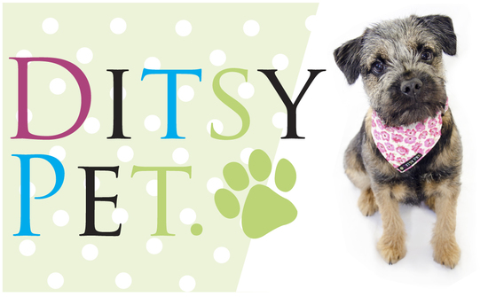 Ditsy Pet dog accessories