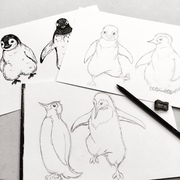 All of our illustrations are drawn by hand, working together