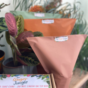 The Ginger Jungle Packaging
