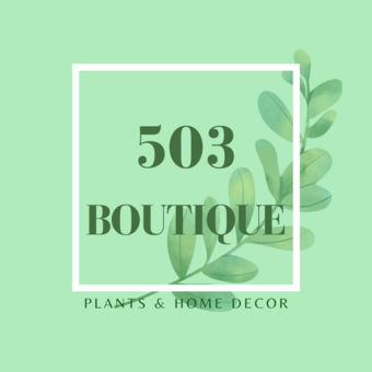 503 Boutique Brand Image