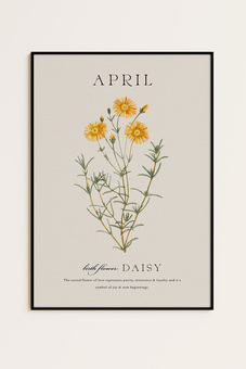 Daisy Birth Flower Print for April