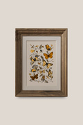 Vintage Butterflies and Moths Cottagecore Print