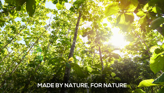 Made By Nature, For Nature