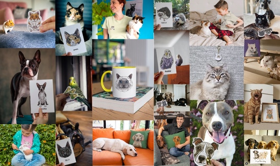 Skittlesketch Pet Portrait shop banner including a range of different pet portraits from cats and dogs in frames. 
