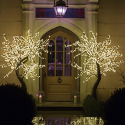 Led Trees standing proud either side of a doorway