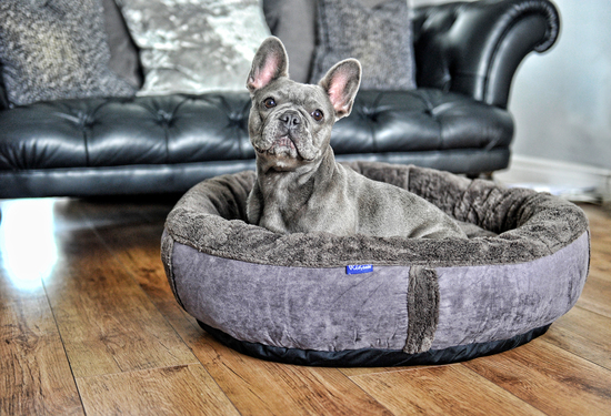 Stylish and practical dog beds