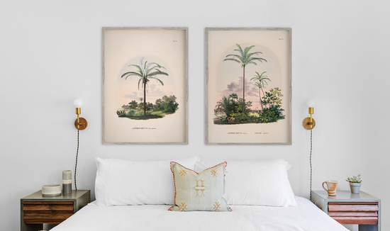 Vintage palm tree illustrations above a bed