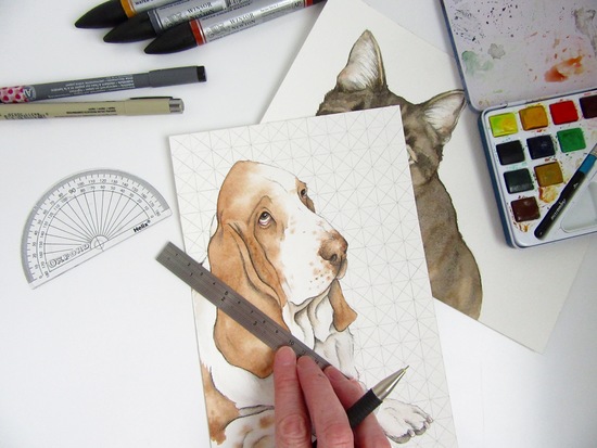 Adding background pattern to a watercolour pet portrait.