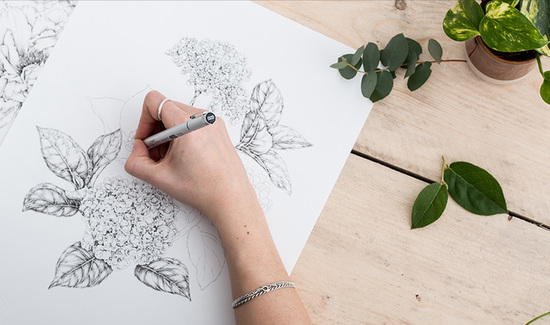 Hand drawn botanicals