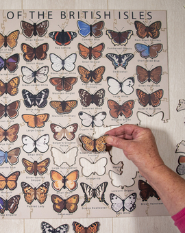 A hand placing a butterfly into a partly completed Butterflies of the British Isles jigsaw Puzzle.