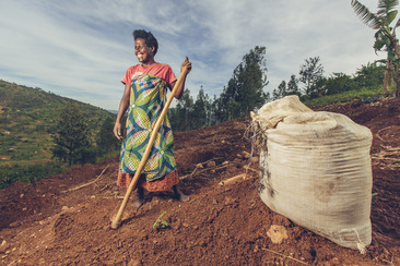 A Rwandan coffee grower