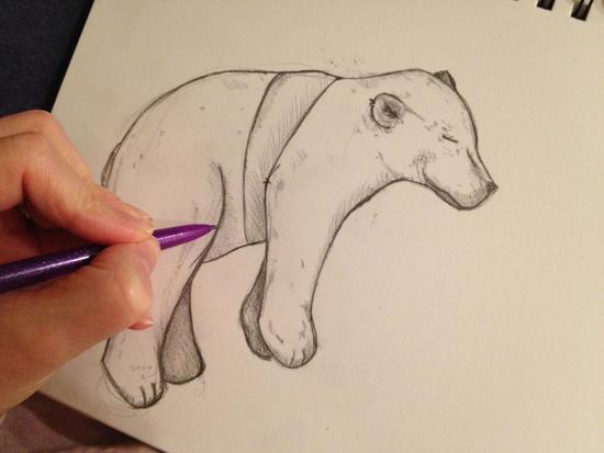Sketching a Polar Bear