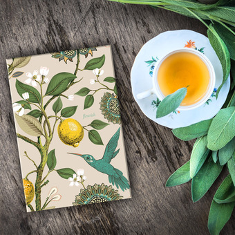 Hummingbird notebook, with cup of tea