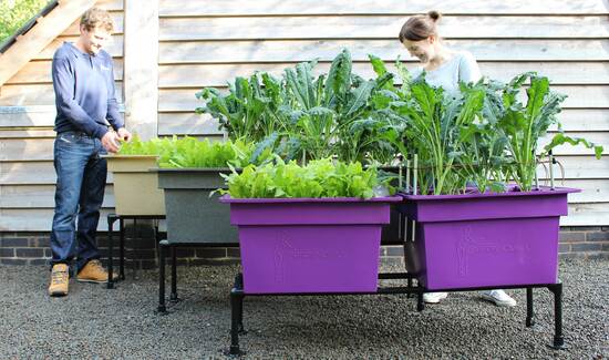 Three raised planters of custom heights in use growing vegetables