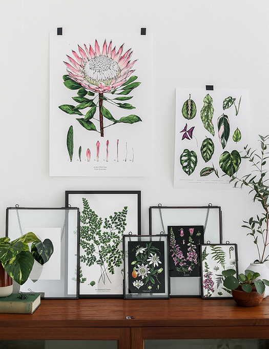 Catherine Lewis Design | Storefront | notonthehighstreet.com