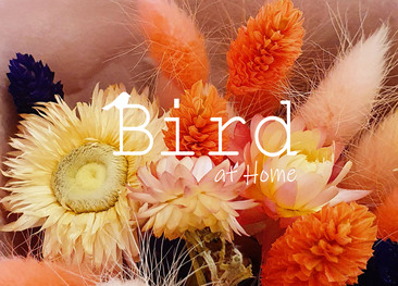 Bird at Home Letterbox gifts letterbox flowers 
