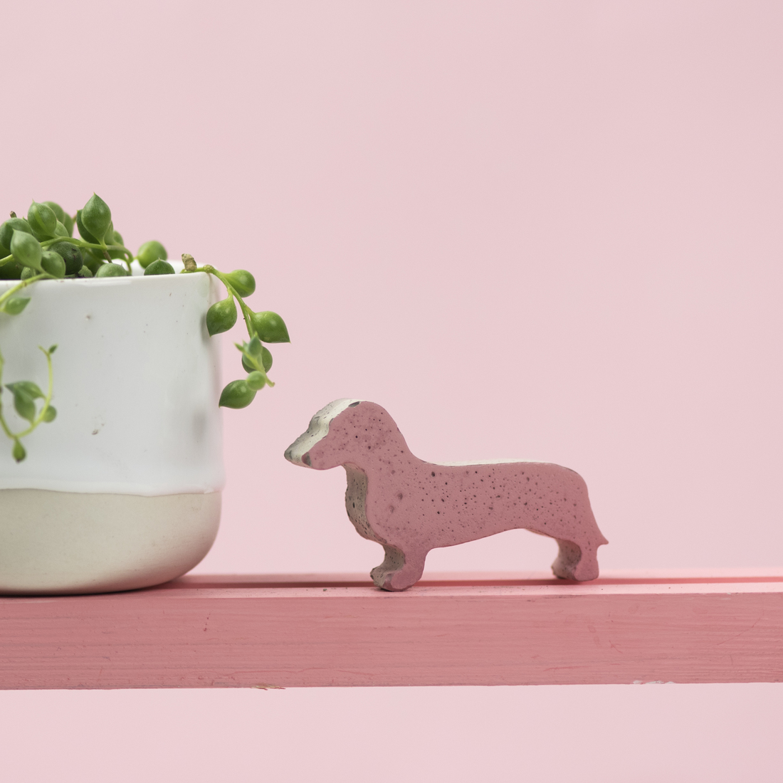 Bells And Whistles Make Storefront