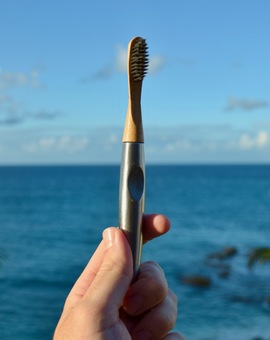 Barnaby's Brushes against the ocean