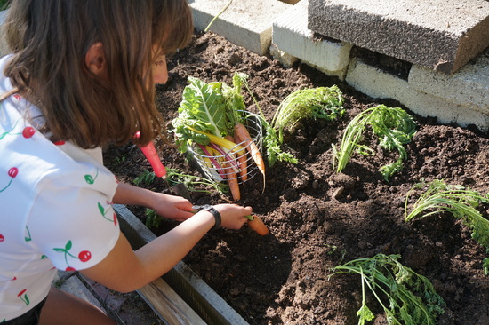 An excellent gift for children, teach them the lifeskill of gardening with our all in one kits.