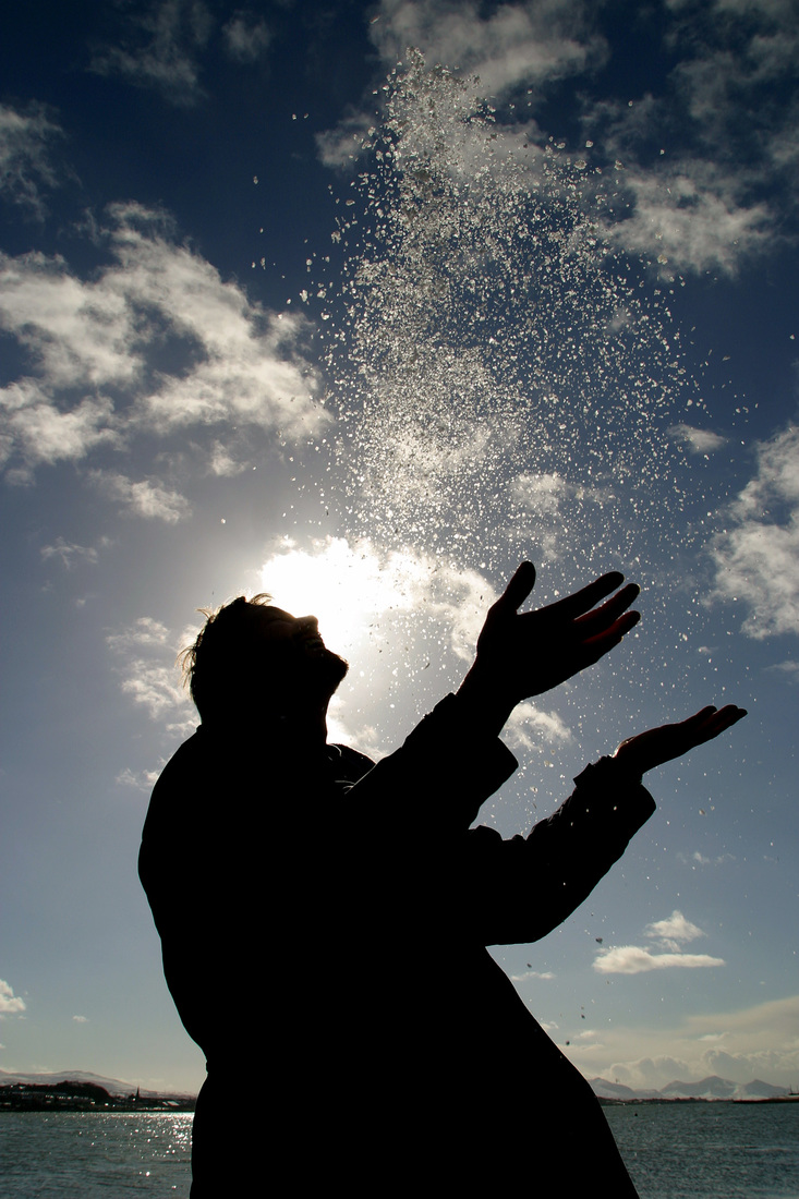 Anglesey Sea Salt Storefront