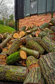 Fresh Willow Log Delivery