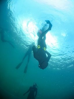 Learn to Freedive
