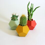 3D Printed Dode Plant pots