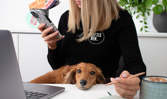 Miniature dachshund puppy in Little Hen studio desk planning personalised party decorations 