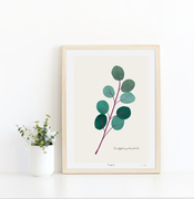 A framed art print featuring a handprinted eucalyptus branch by Emma Bryan Design