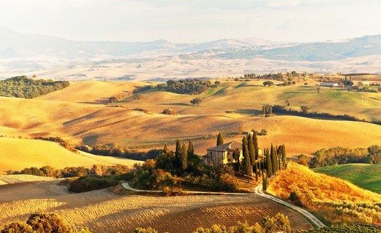Tuscan Hills