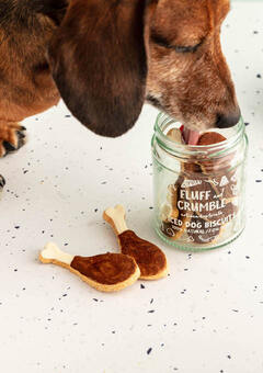 Dachshund with Fluff & Crumble Drumstick Iced Dog Biscuit Jar