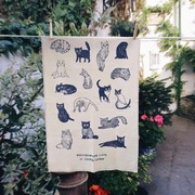 A 100% organic tea towel picturing cute neighbourhood cats hangs on a clothesline in a quaint garden in the UK