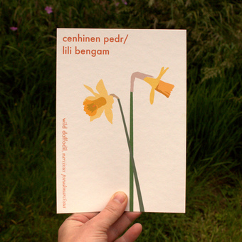 hand holding daffodil print
