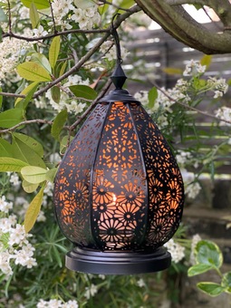 lit Moroccan lantern hanging from a tree branch in the garden