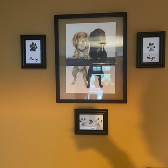 An image of a dog on the wall next to four pawprints captured using the mess free pawprint ki
