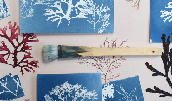 Paper Birch Seaweed Cyanotype Wall Art Print and Coastal Inspired Paper Goods