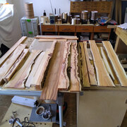 Pieces of Yew being selected for knife racks.