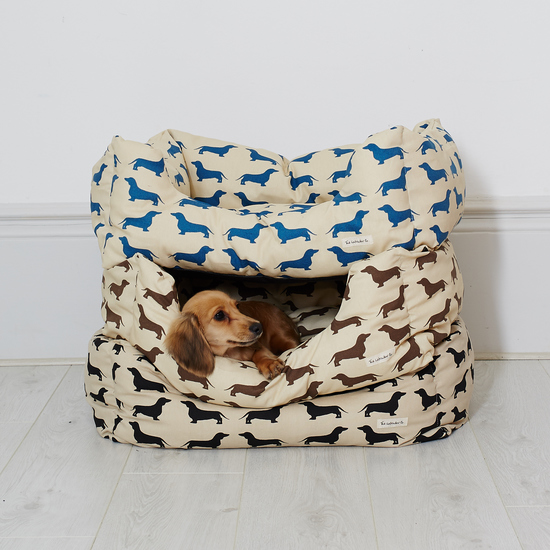 Lady Lettice in dog beds