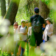 group on foraging course